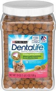 Premium Cat Treats: Reward, Health, and Happiness