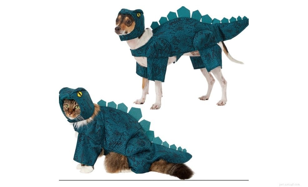 12 Best Cat Halloween Costumes for a Purr-fect Party