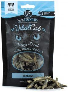 Premium Cat Treats: Reward, Health, and Happiness