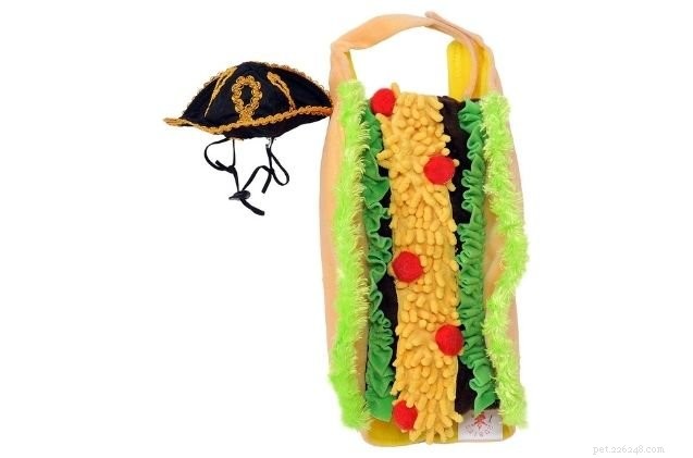12 Best Cat Halloween Costumes for a Purr-fect Party