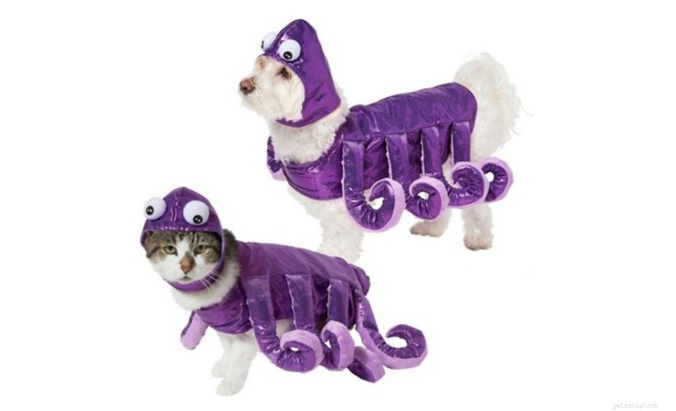 12 Best Cat Halloween Costumes for a Purr-fect Party