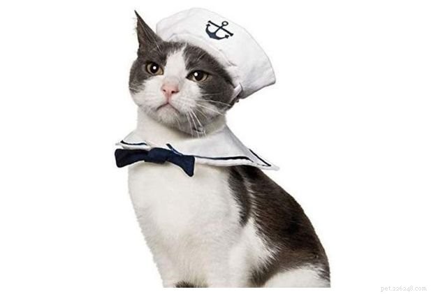 12 Best Cat Halloween Costumes for a Purr-fect Party