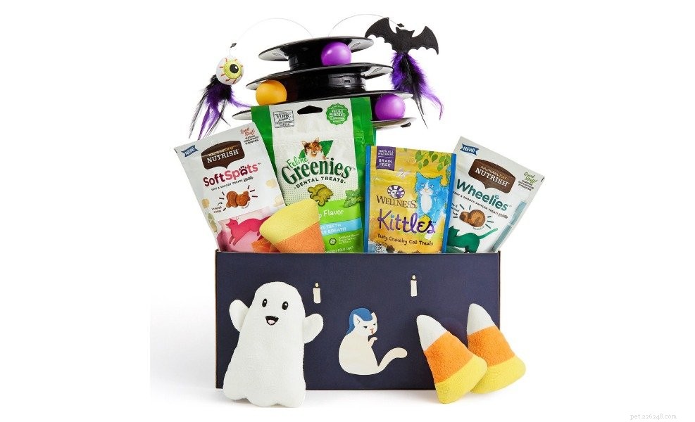 12 Best Cat Halloween Costumes for a Purr-fect Party