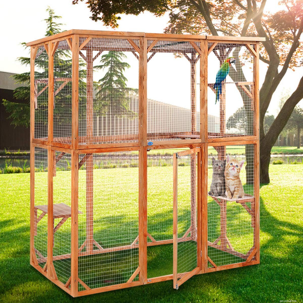 Top Outdoor Cat Enclosures: Keep Your Feline Safe & Happy