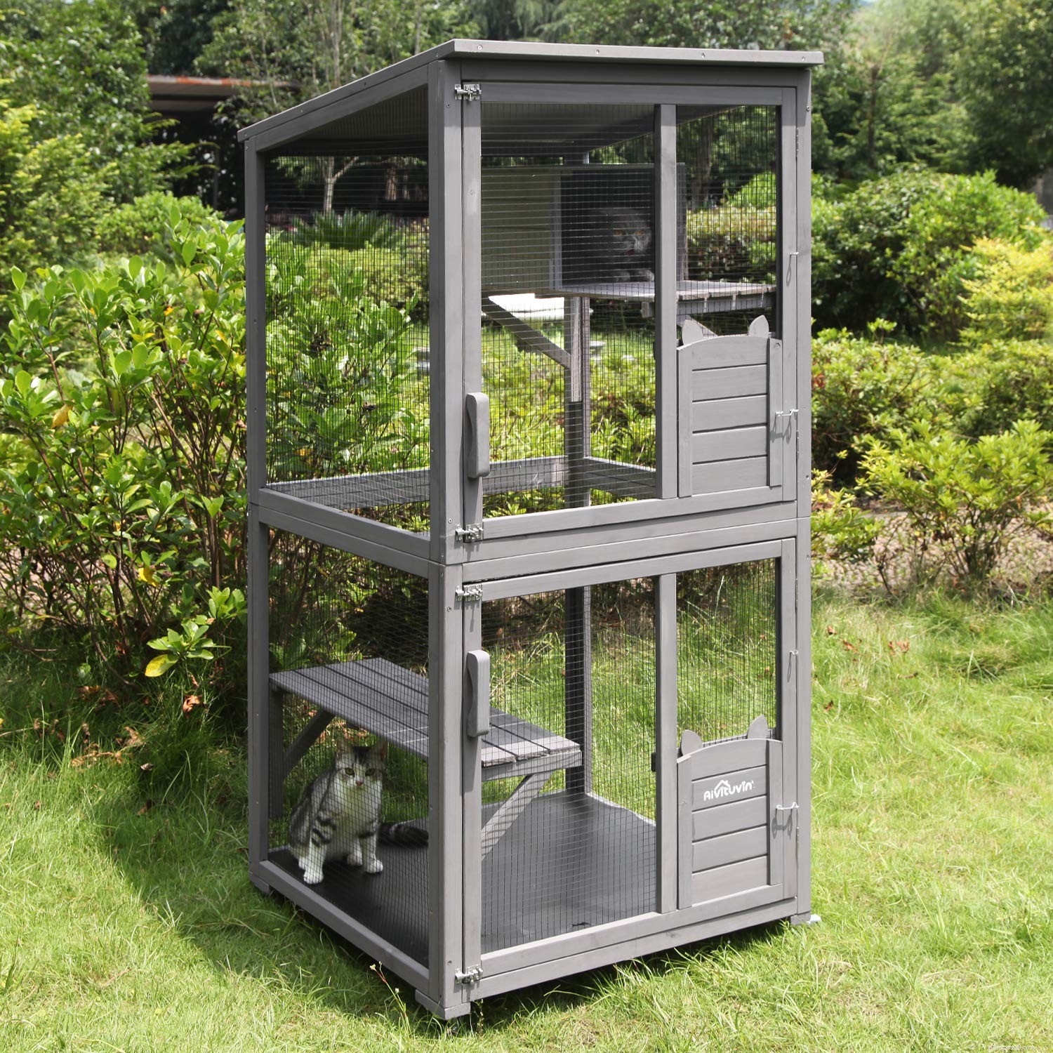 Top Outdoor Cat Enclosures: Keep Your Feline Safe & Happy