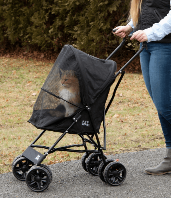 Top Cat Strollers: Comfortable & Safe Outdoor Rides for Your Feline Companion