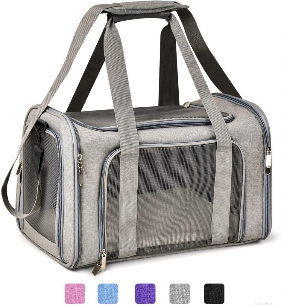 Top-Rated Cat Carriers for Comfortable, Safe Travel
