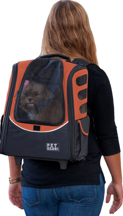 Top-Rated Cat Carriers for Comfortable, Safe Travel