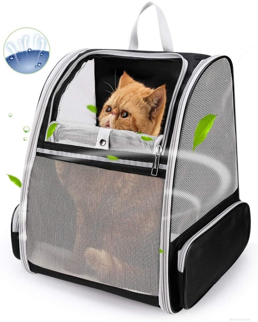 Top-Rated Cat Carriers for Comfortable, Safe Travel