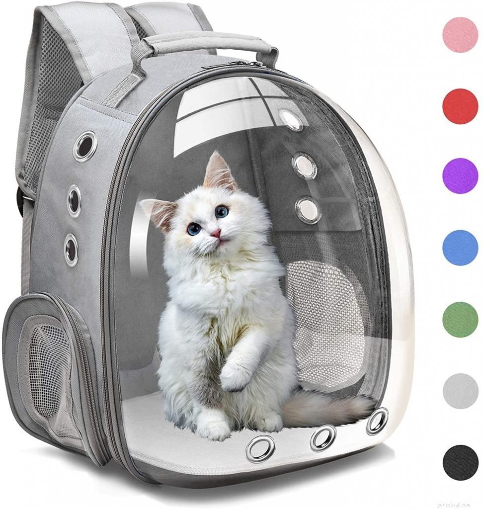 Top-Rated Cat Carriers for Comfortable, Safe Travel