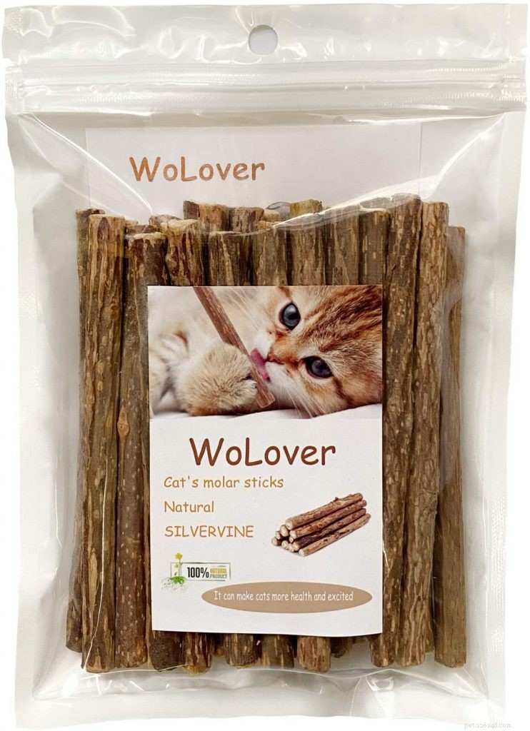 Top Cat Chew Toys: Safe, Durable, and Fun for Kittens and Adults