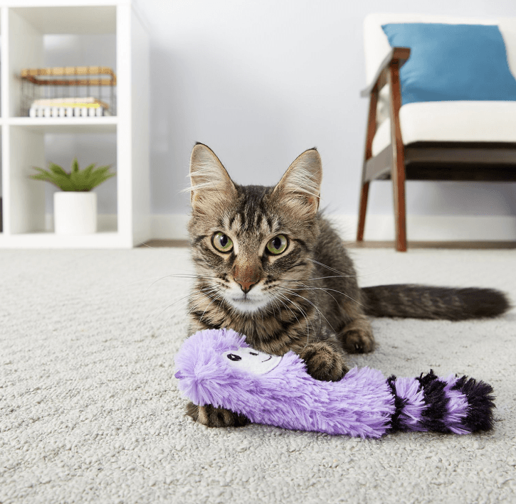 Top Catnip Toys for Happy & Healthy Cats
