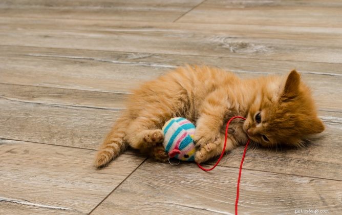 Top Catnip Toys for Happy & Healthy Cats