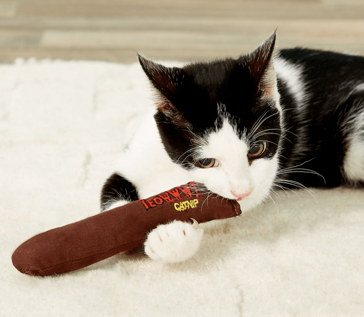 Top Catnip Toys for Happy & Healthy Cats