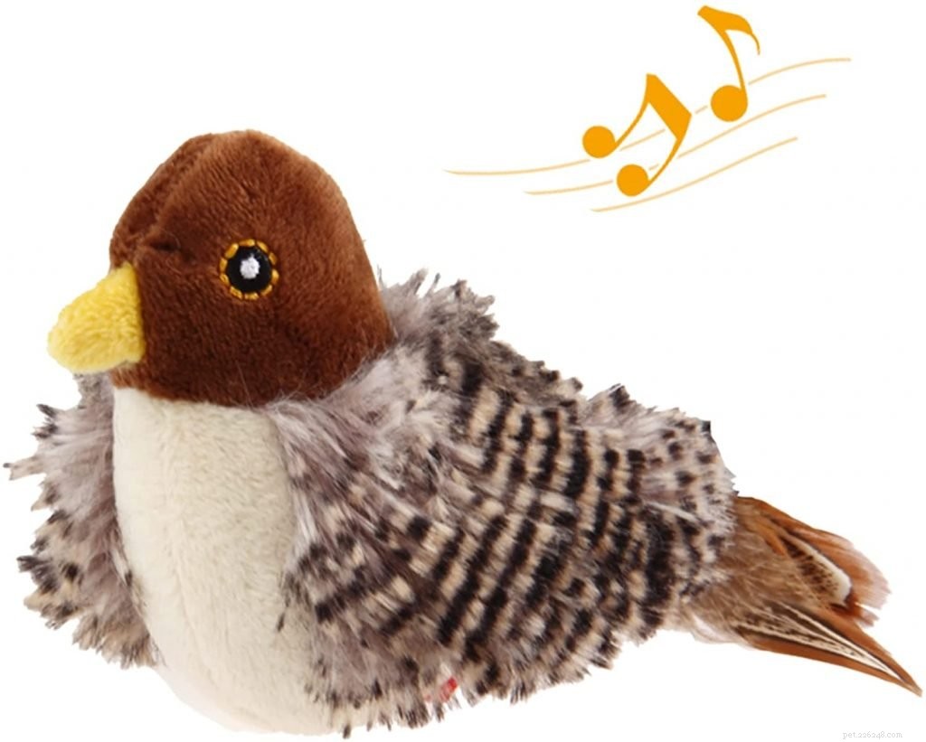 Top Feather Toys for Cats: Boost Playtime & Bonding