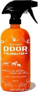 Top Rated Cat Urine Odor Removers: Freshen Your Home Quickly