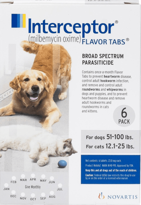 Top Rated Cat Dewormers for Quick, Safe Worm Removal