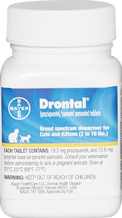 Top Rated Cat Dewormers for Quick, Safe Worm Removal