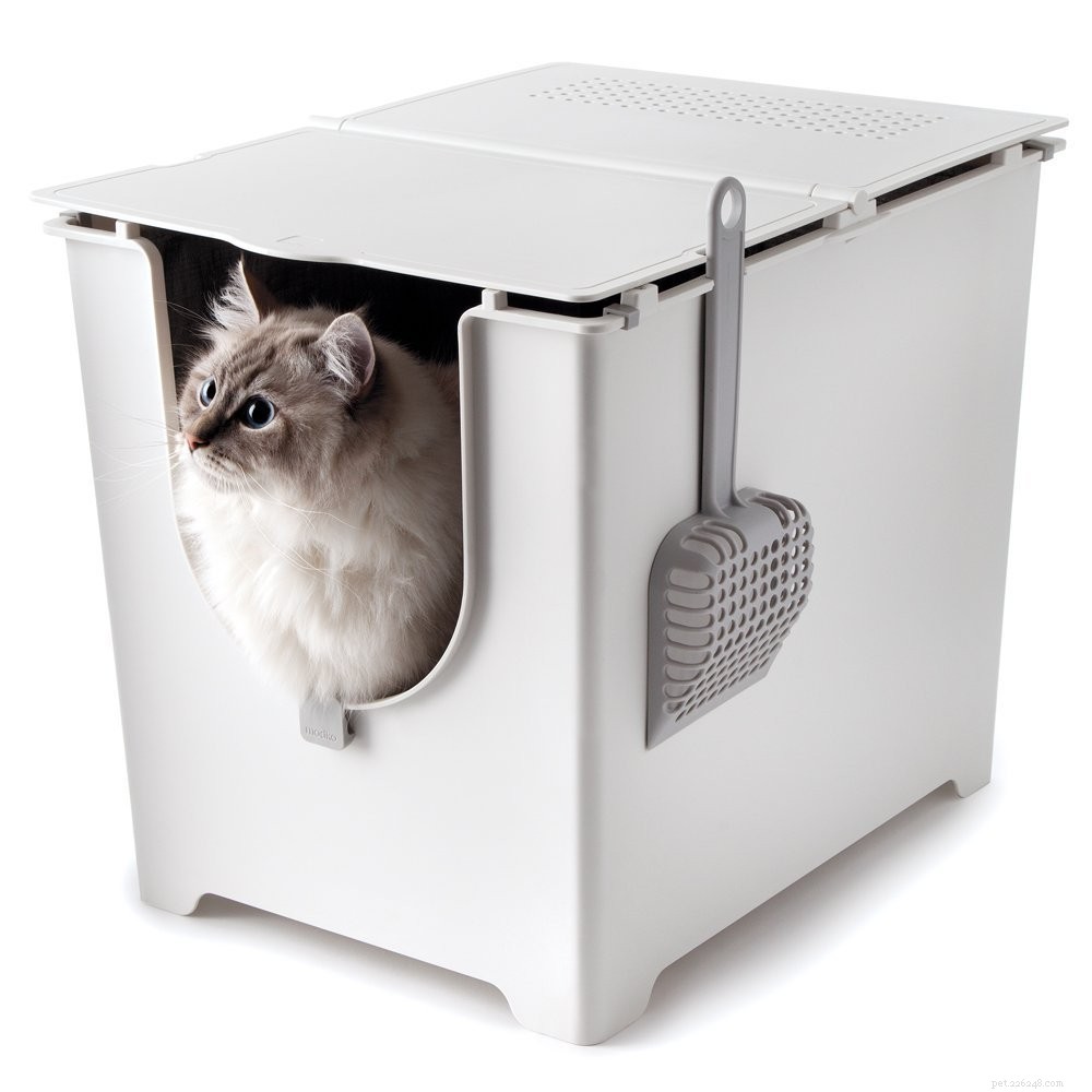 Top 10 Cat Litter Boxes: Find the Perfect Fit for Your Feline Friend