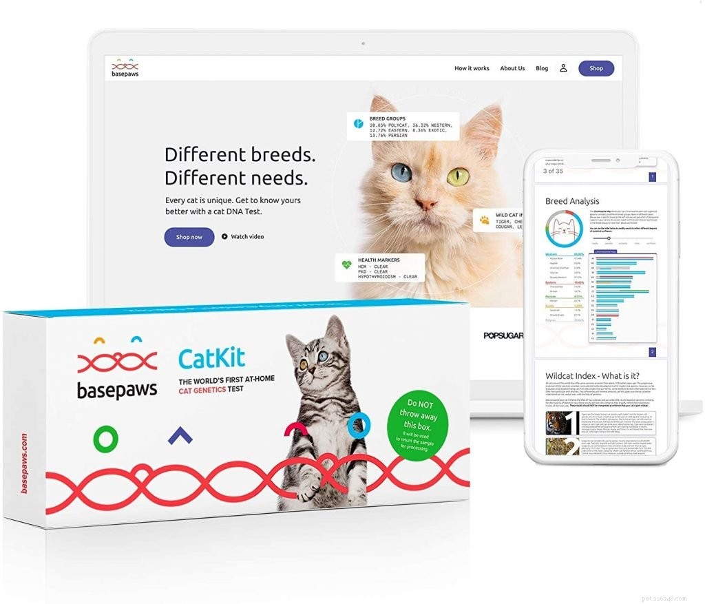 The Ultimate Gift Guide: Top Christmas Presents for Cats