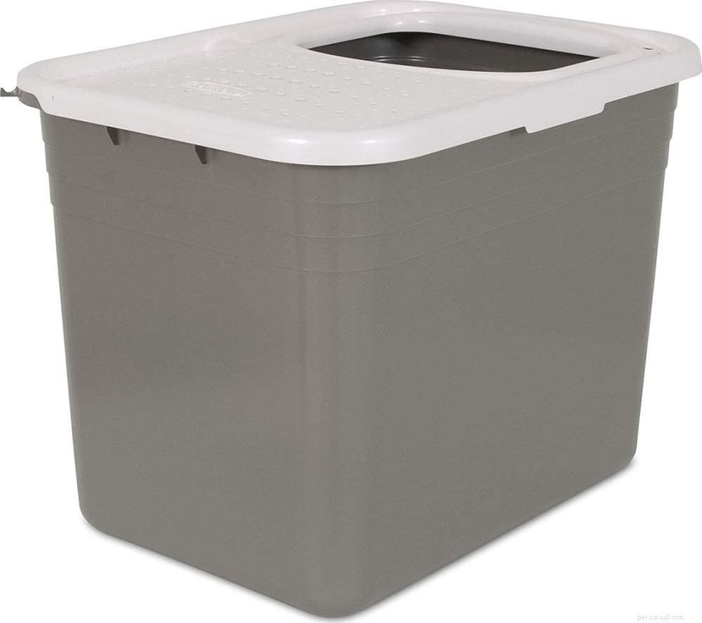 Top 10 Cat Litter Boxes: Find the Perfect Fit for Your Feline Friend