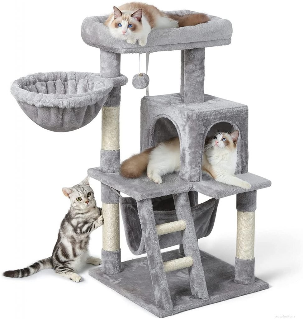 The Ultimate Gift Guide: Top Christmas Presents for Cats