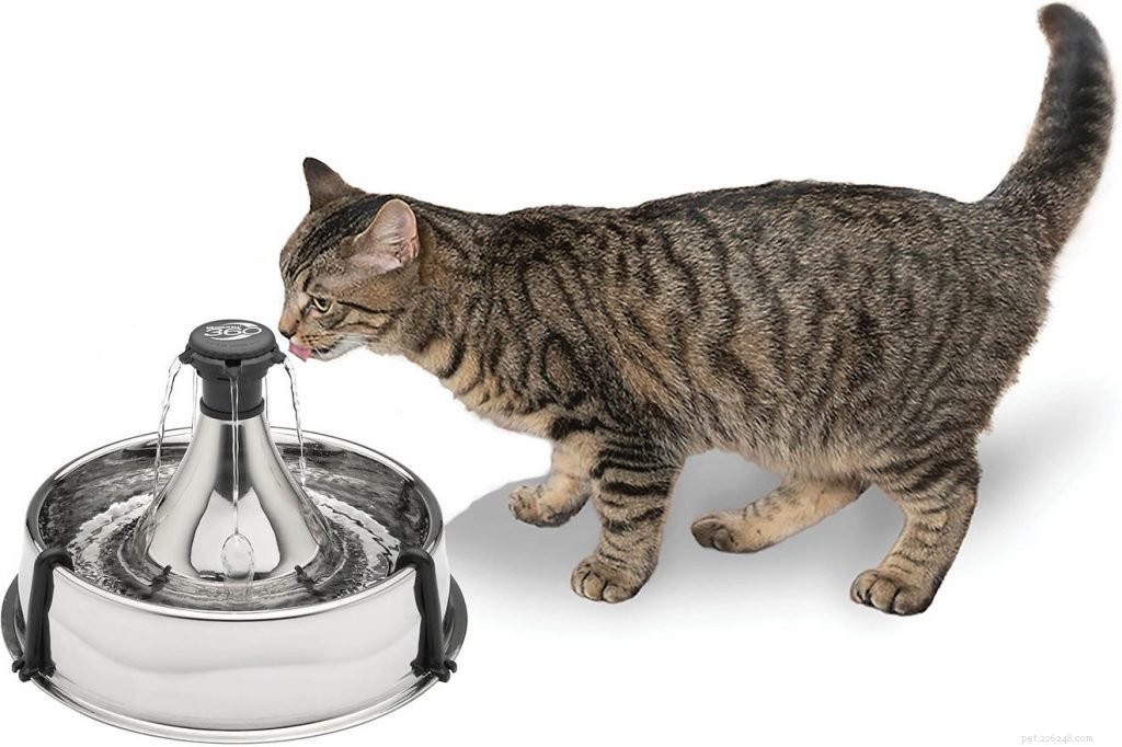 The Ultimate Gift Guide: Top Christmas Presents for Cats
