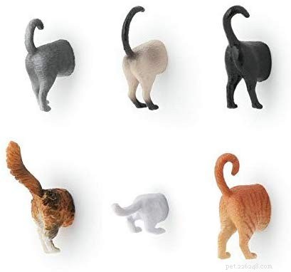 Top 10 Unique Gifts Every Cat Lover Will Love