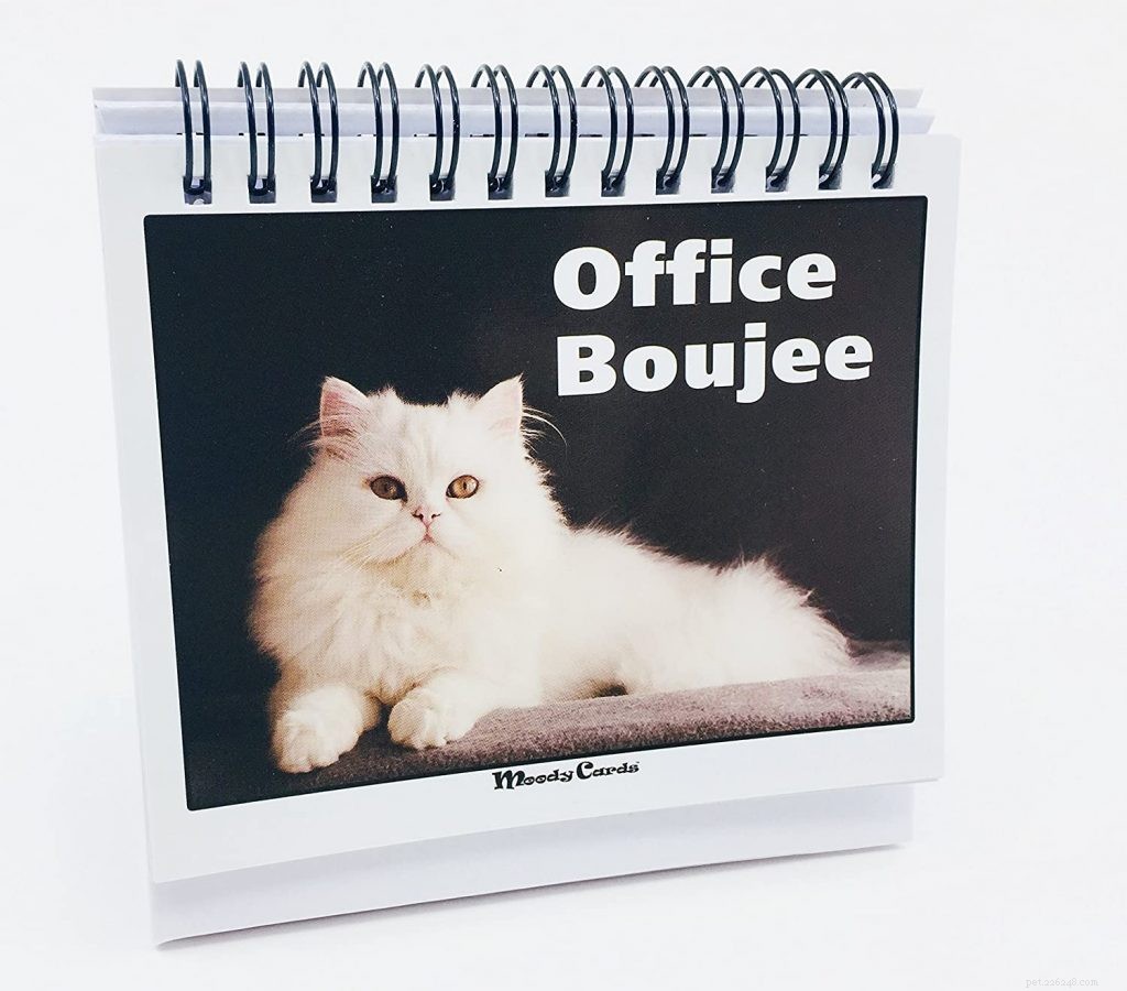 Top 10 Unique Gifts Every Cat Lover Will Love