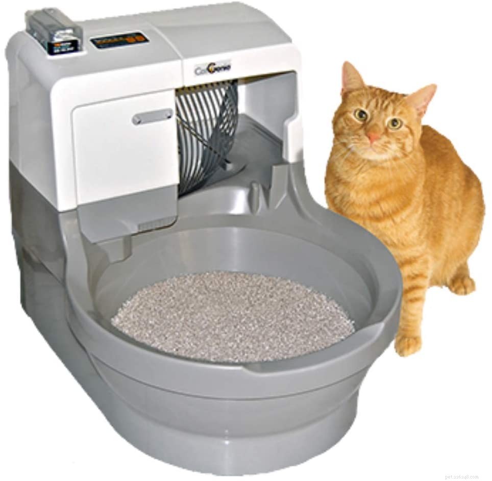 Top Self-Cleaning Litter Boxes for Effortless Cat Care