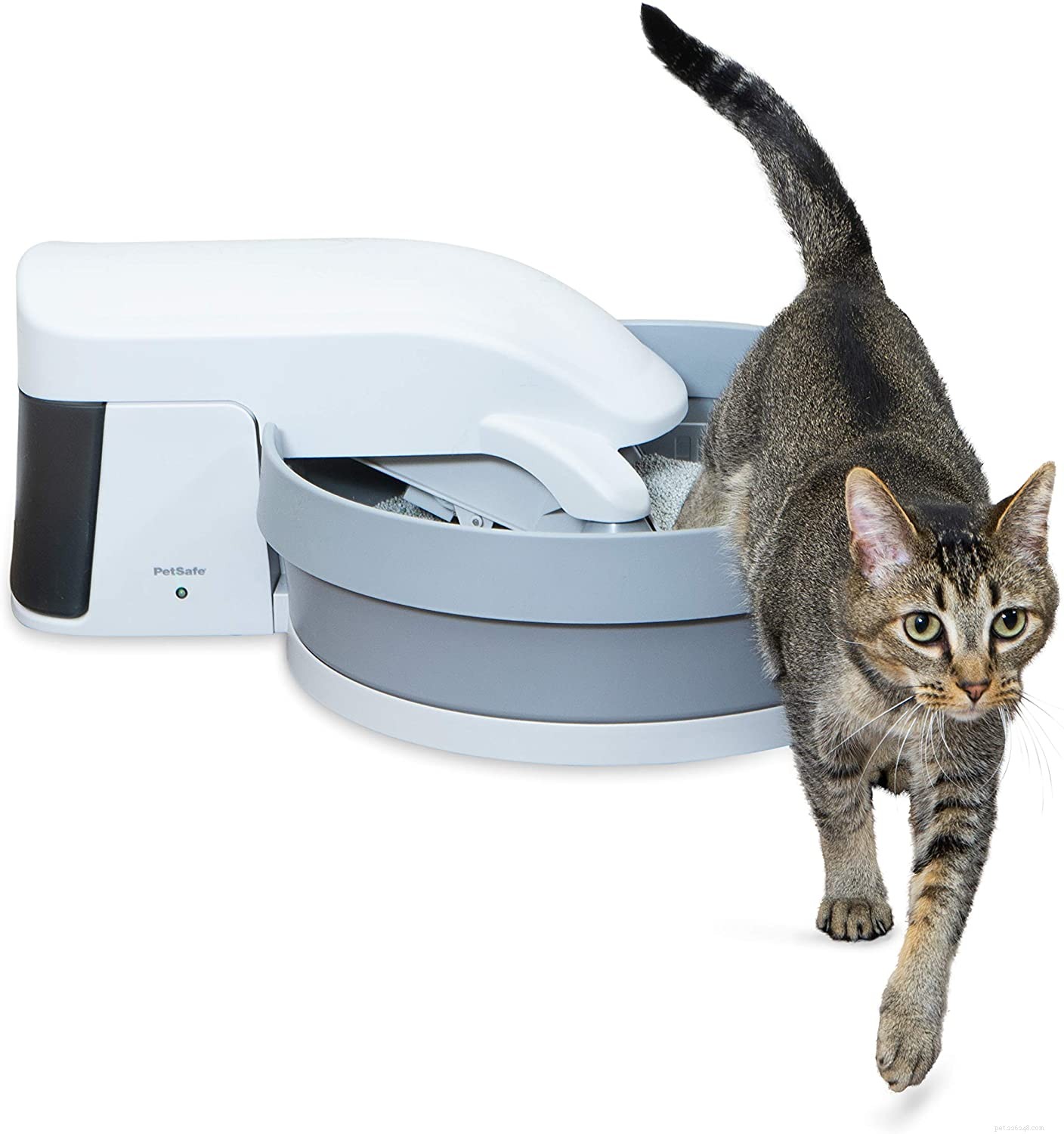 Top Self-Cleaning Litter Boxes for Effortless Cat Care