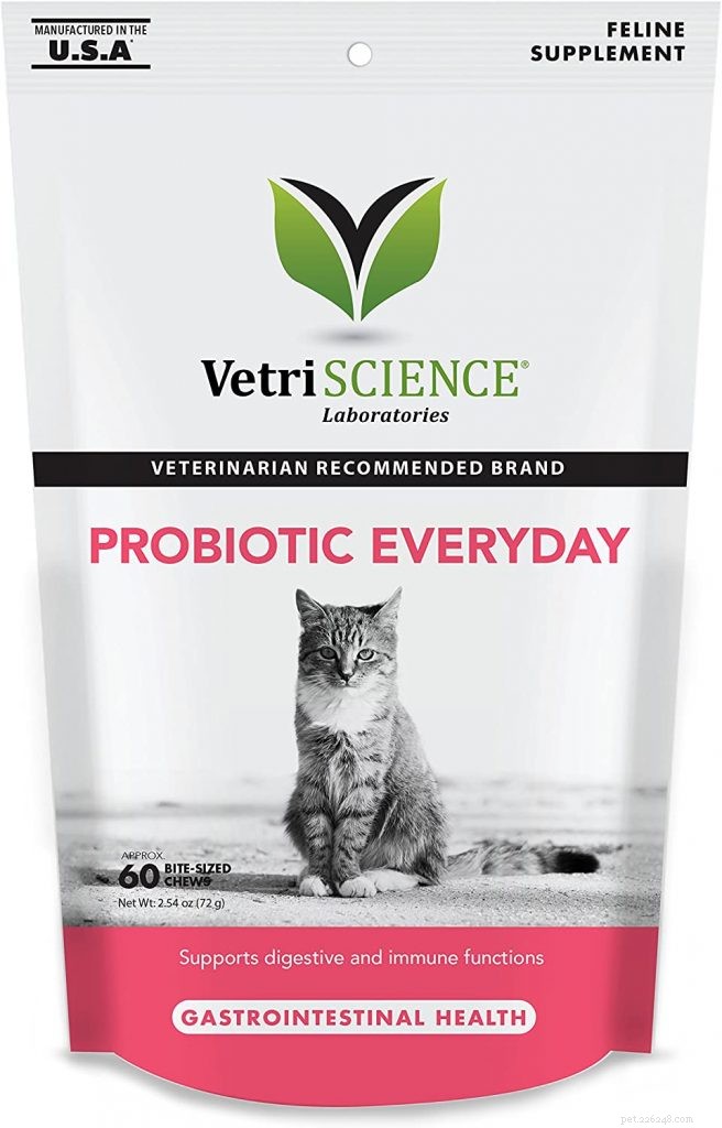 Top Probiotics for Cats: Boost Digestive Health & Immunity