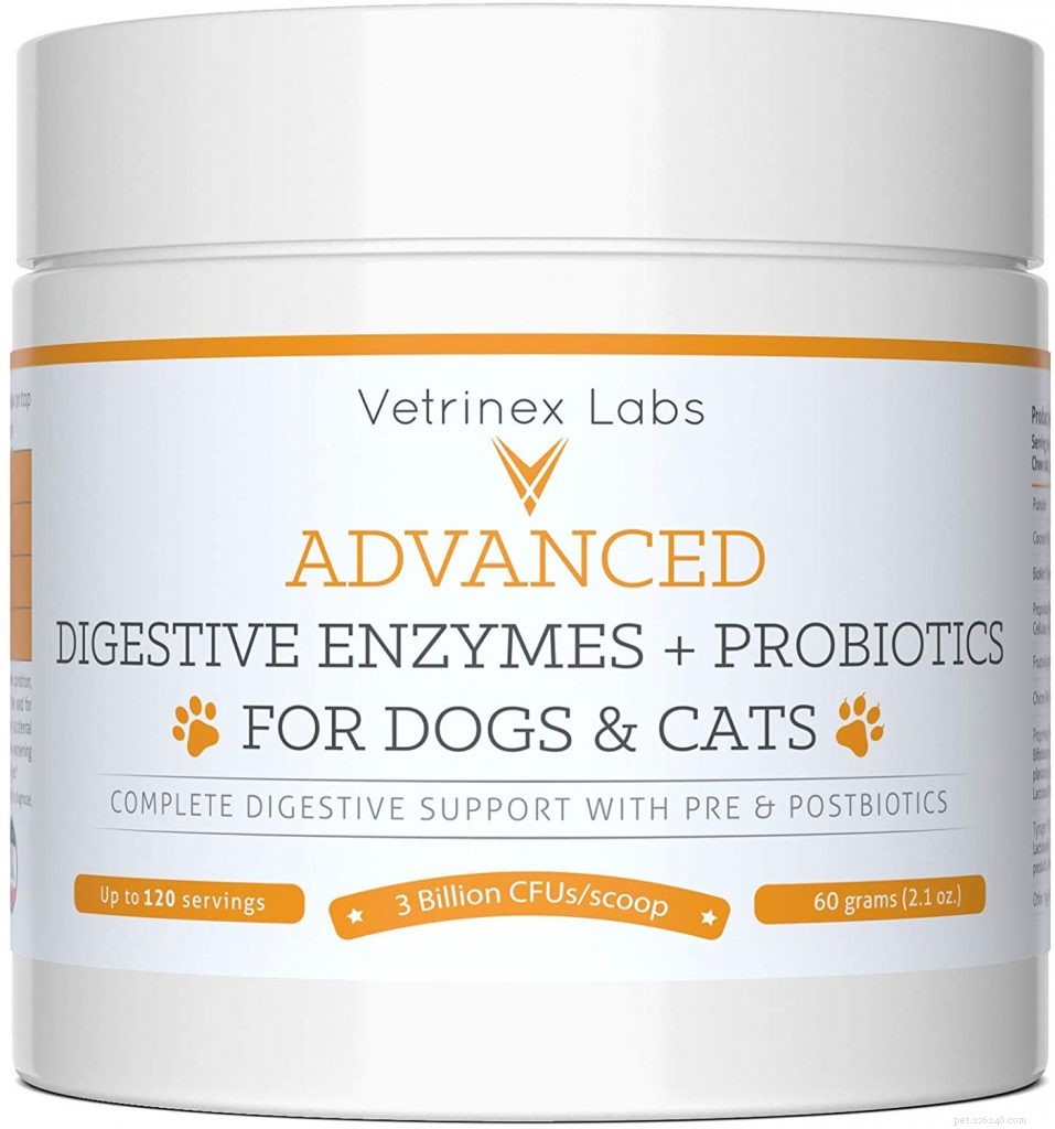 Top Probiotics for Cats: Boost Digestive Health & Immunity