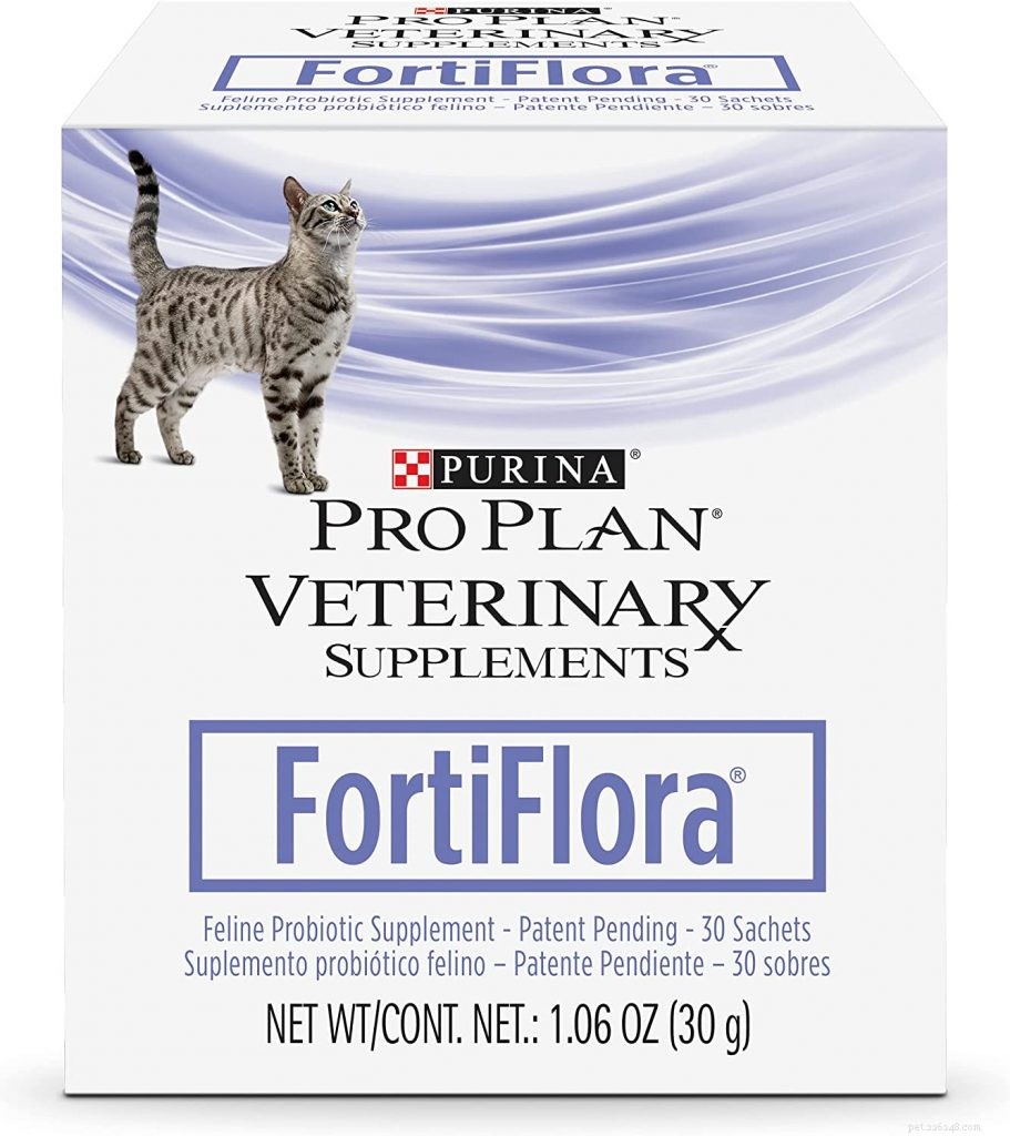 Top Probiotics for Cats: Boost Digestive Health & Immunity