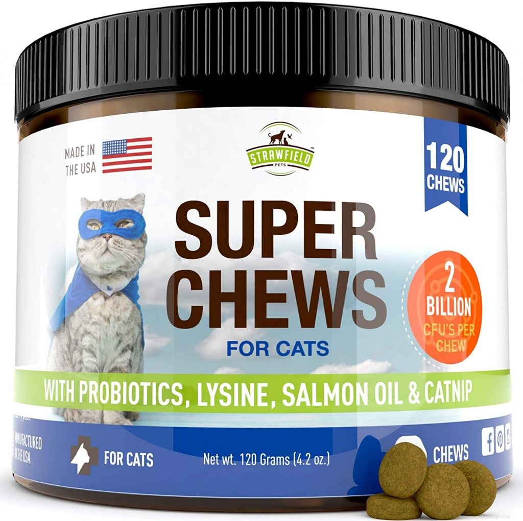 Top Probiotics for Cats: Boost Digestive Health & Immunity