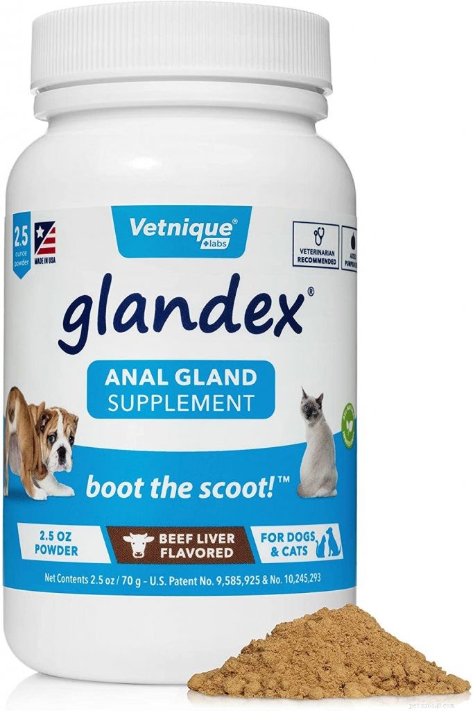 Top Probiotics for Cats: Boost Digestive Health & Immunity