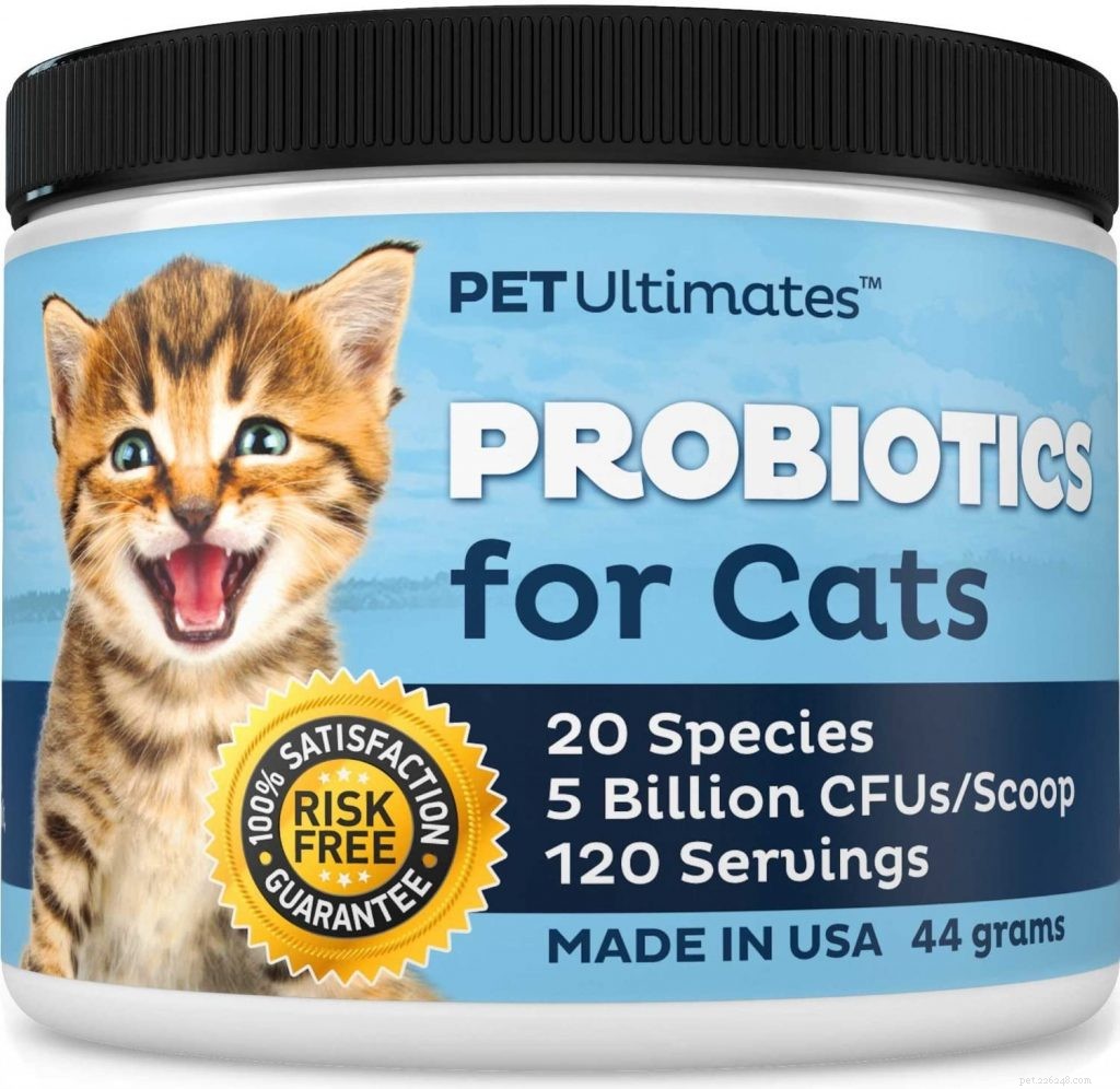 Top Probiotics for Cats: Boost Digestive Health & Immunity