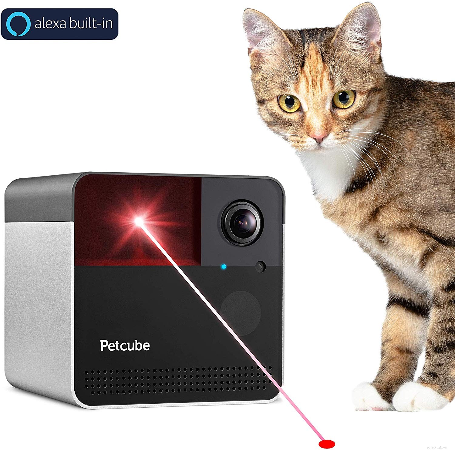 Trusted Expert Guide to the Best Interactive Cat Toys