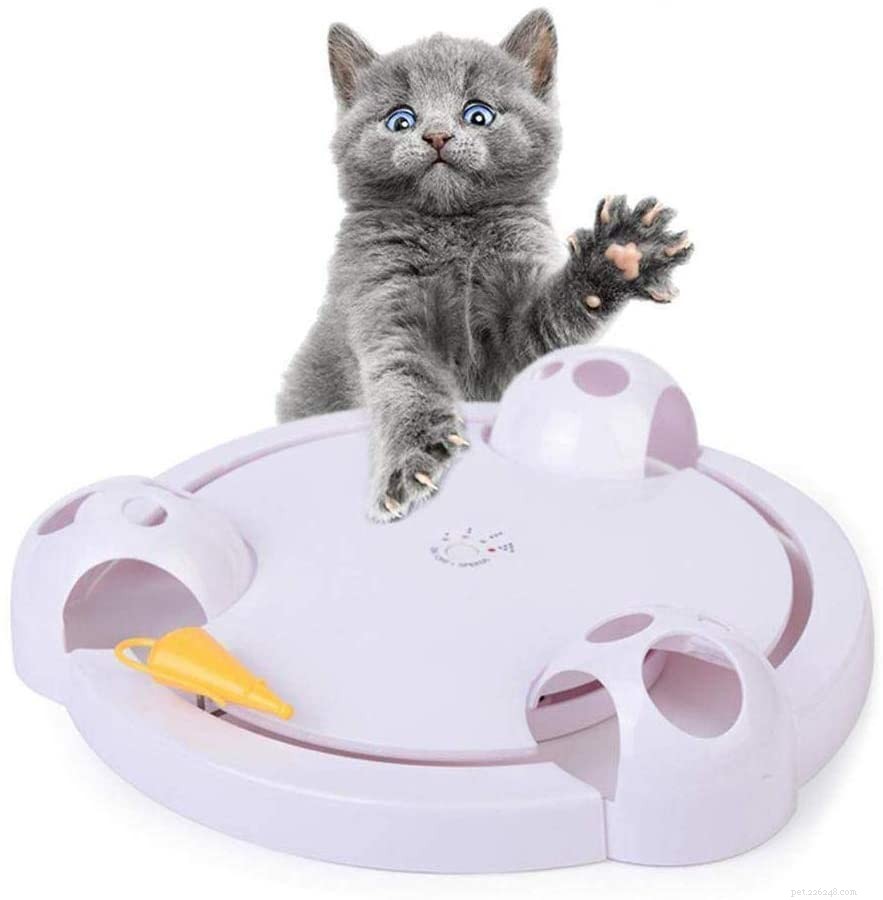 Trusted Expert Guide to the Best Interactive Cat Toys