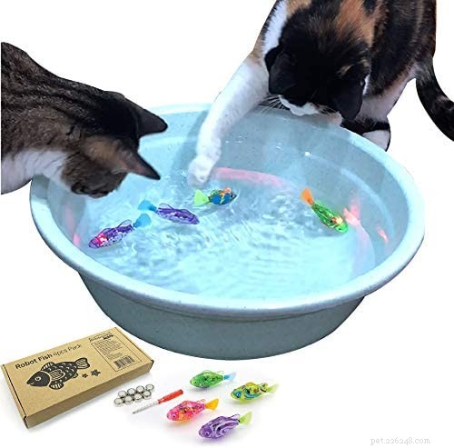 Trusted Expert Guide to the Best Interactive Cat Toys