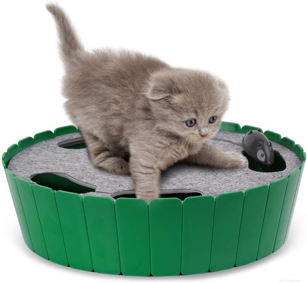 Trusted Expert Guide to the Best Interactive Cat Toys