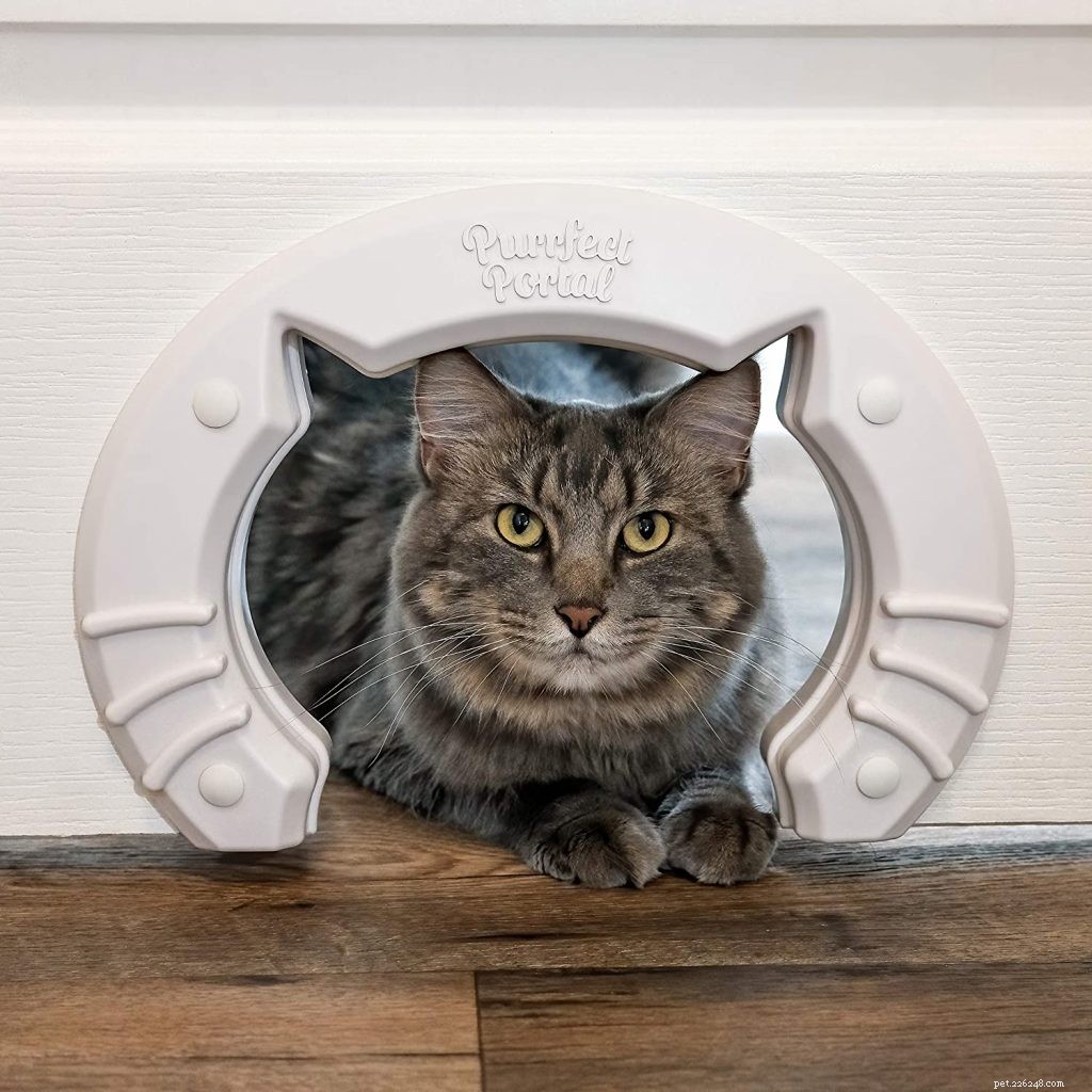 Top Cat Door Picks: Freedom & Convenience for Your Feline