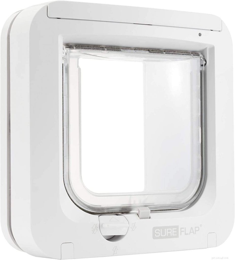 Top Cat Door Picks: Freedom & Convenience for Your Feline