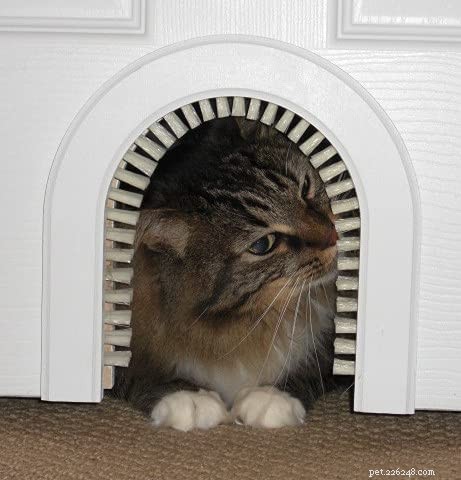 Top Cat Door Picks: Freedom & Convenience for Your Feline