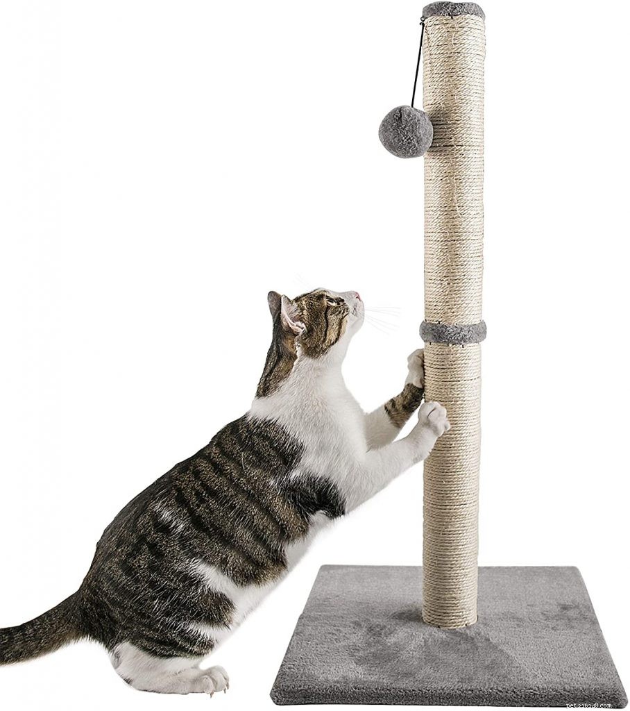 Premium Cat Scratching Posts – Protect Your Home & Your Feline’s Claws