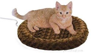 Top Heated Cat Beds of 2024: Expert‑Chosen for Comfort & Safety