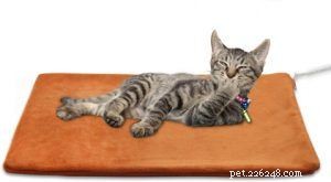 Top Heated Cat Beds of 2024: Expert‑Chosen for Comfort & Safety