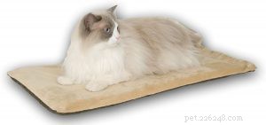 Top Heated Cat Beds of 2024: Expert‑Chosen for Comfort & Safety