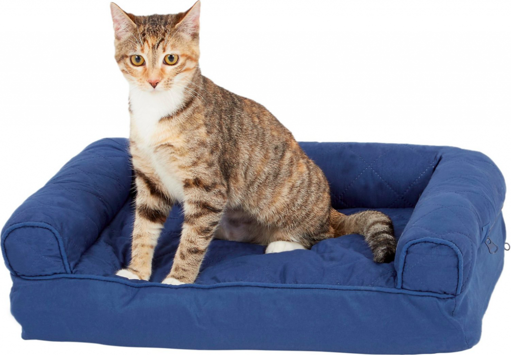 Top Cat Sofas: Stylish, Cozy Beds for Your Feline Friend