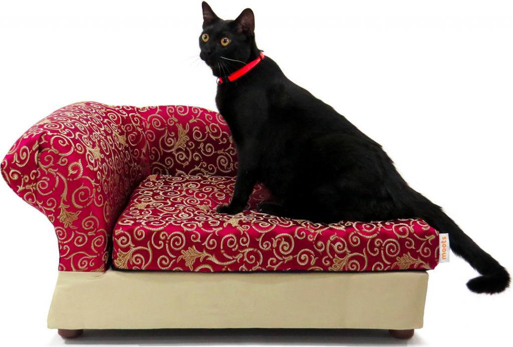 Top Cat Sofas: Stylish, Cozy Beds for Your Feline Friend